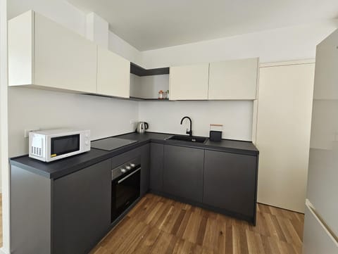 Kitchen or kitchenette, dishwasher, minibar, pet friendly, stove