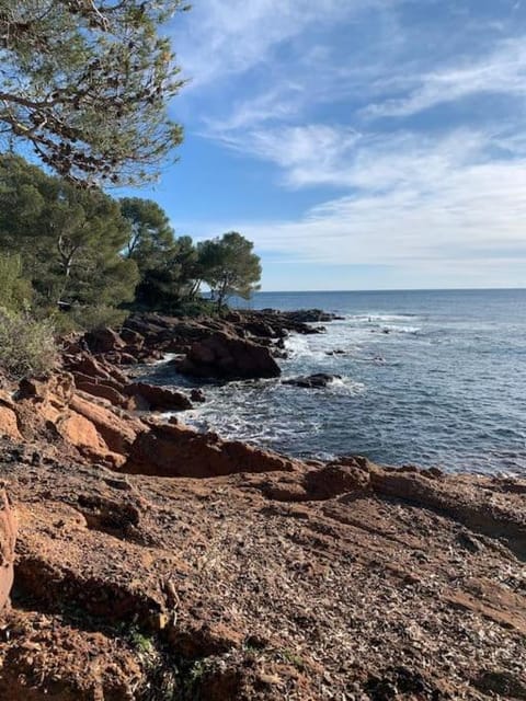 Nearby landmark, Beach