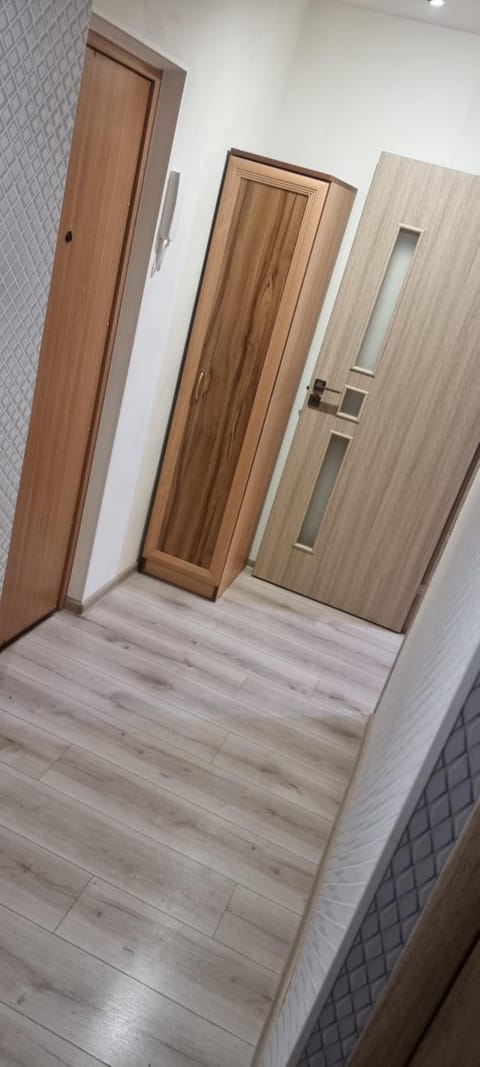 Cute Flat Apartment in Lithuania