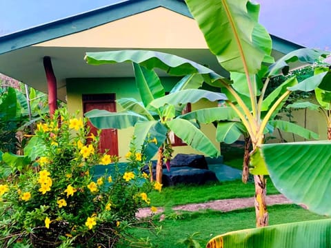 Property building, Facade/entrance, Garden, Garden view