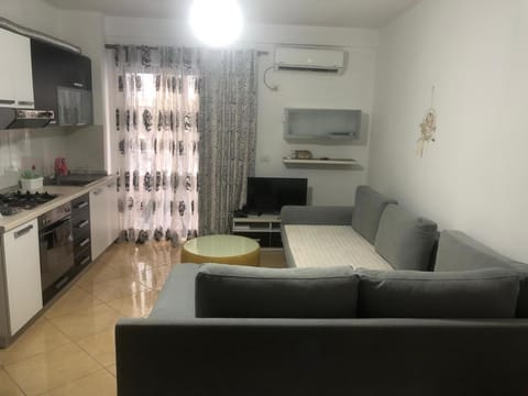 Kitchen or kitchenette, Living room, oven, stove, air conditioner
