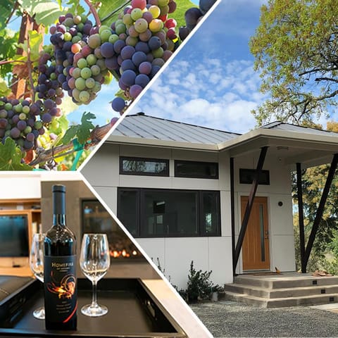 Modern Wine Country Home on 10 acres with vineyard Villa in Russian River