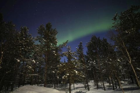 Night, Natural landscape, Winter