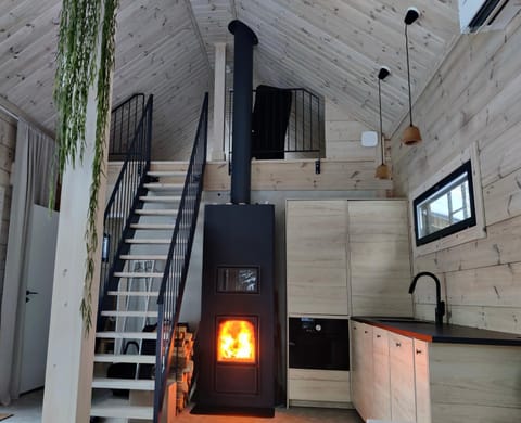 Kitchen or kitchenette, fireplace