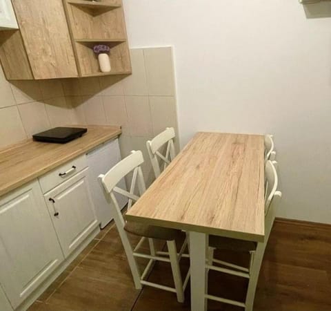 Bela Reka Gondola Studio Apartment in Serbia