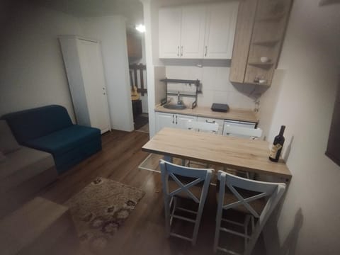 Bela Reka Gondola Studio Apartment in Serbia