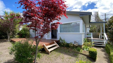 Property building, Spring, Day, Garden, Garden, Garden view