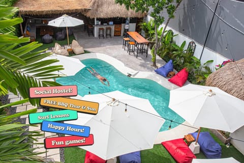 Day, Pool view, Swimming pool, sunbed