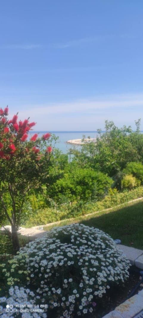 Sea view