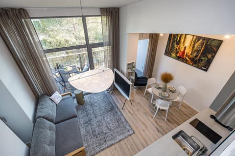 TV and multimedia, Kitchen or kitchenette, Living room, Photo of the whole room, Seating area, Dining area