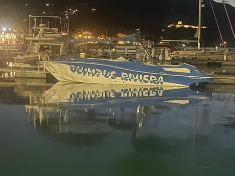 HOME OF OLYMPOS STUDIO Apartment in Litochoro