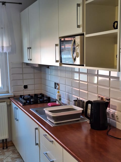 Kitchen or kitchenette, minibar, pet friendly, stove