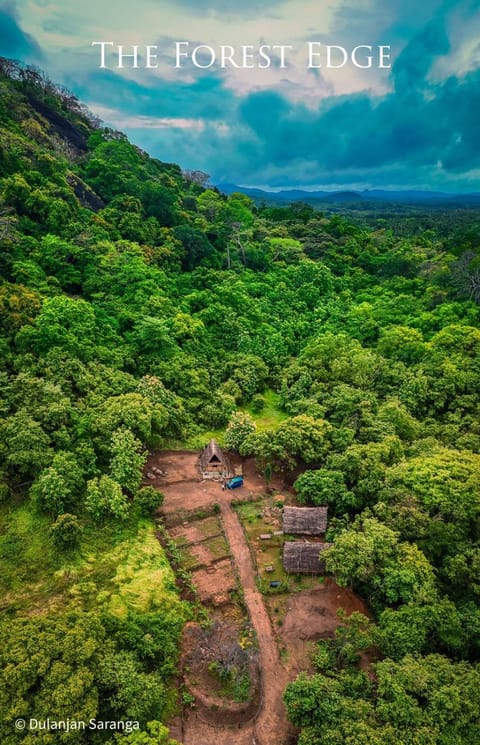 Natural landscape, Bird's eye view, Mountain view