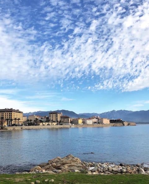 F3 de charme centre ville Ajaccio Apartment in Ajaccio