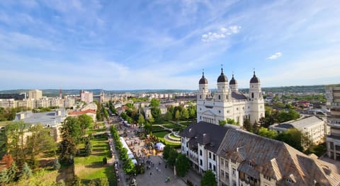 Nearby landmark, Day, Neighbourhood, Bird's eye view, City view, Garden view, Landmark view, Quiet street view