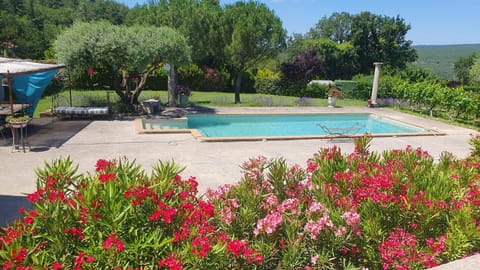 Garden, Garden, Garden view, Pool view, Swimming pool