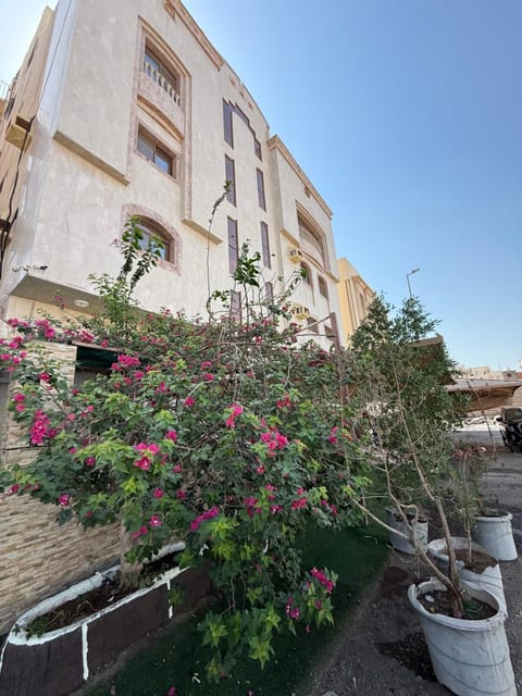 Property building, Garden view
