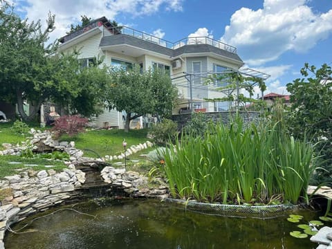 Natural landscape, Garden, Garden view