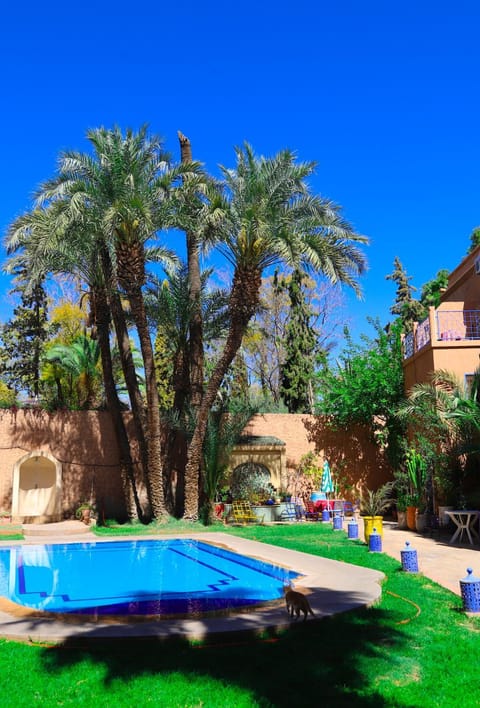 Spring, Day, Garden, Garden view, Pool view, Swimming pool, Swimming pool