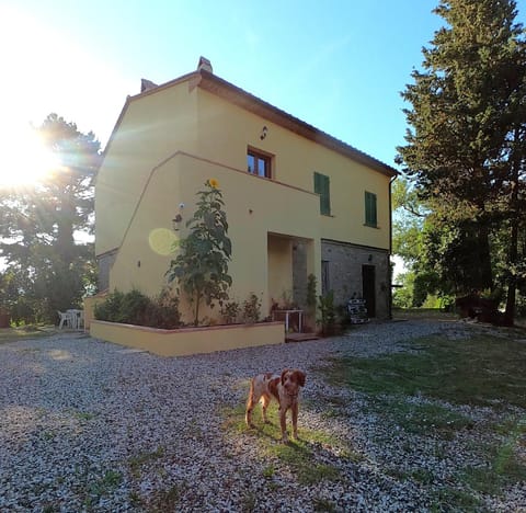 Property building, Pets, Inner courtyard view