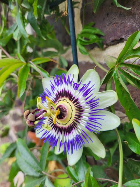 't Kesselke House in Limburg (province)