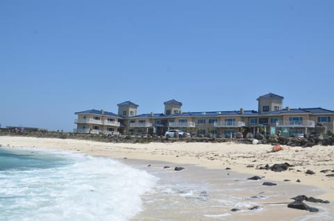 Property building, Beach, Sea view