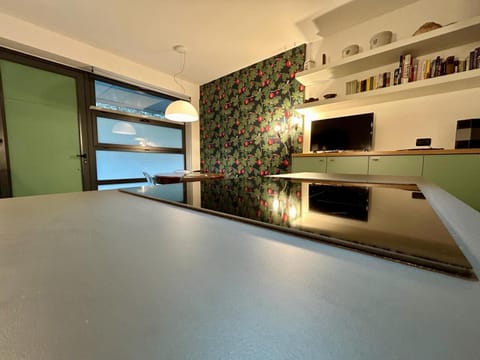 TV and multimedia, Kitchen or kitchenette, Living room, Seating area, minibar, pet friendly, stove