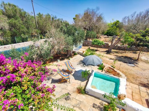 Natural landscape, Garden view, Pool view