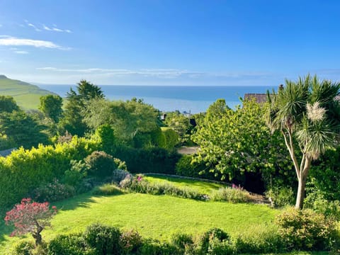Garden, Garden view, Garden view