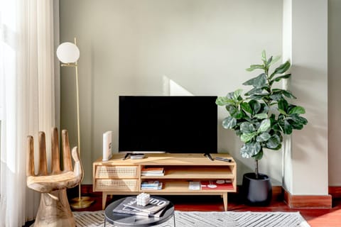 TV and multimedia, Decorative detail