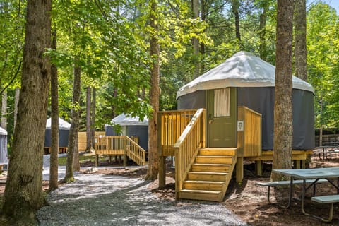 Roamstead Smoky Mountains Campground/
RV Resort in Cosby