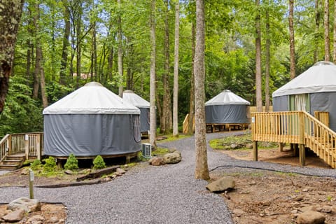 Roamstead Smoky Mountains Campground/
RV Resort in Cosby