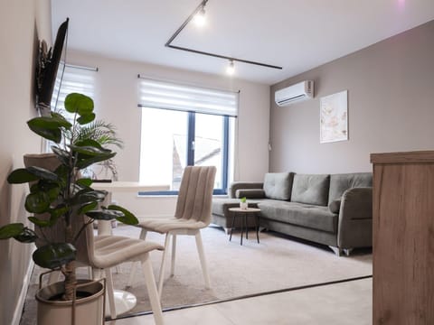 TV and multimedia, Living room, Seating area, air conditioner