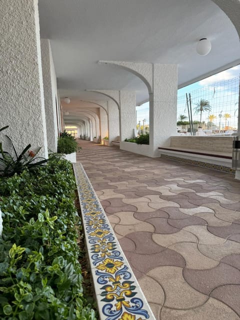 Day, Garden, Garden view