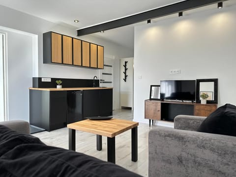 TV and multimedia, Kitchen or kitchenette, Living room, Seating area, Evening entertainment