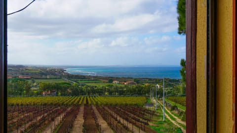 Surf and Fun Asinara House in Sardinia