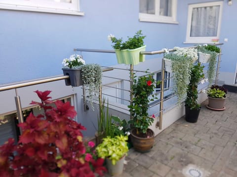 Gästehaus Schwien Apartment in Rust