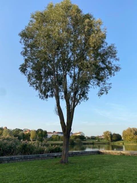 Studio proche Disneyland Paris Apartment in Magny-le-Hongre