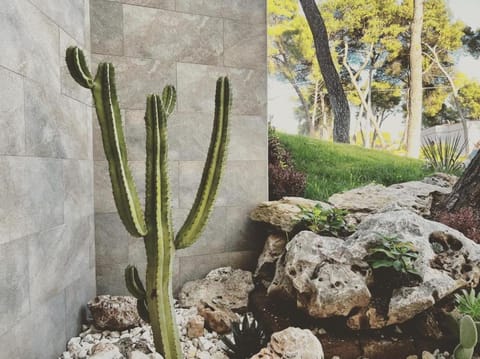 Pinea b&b Bed and Breakfast in Province of Taranto