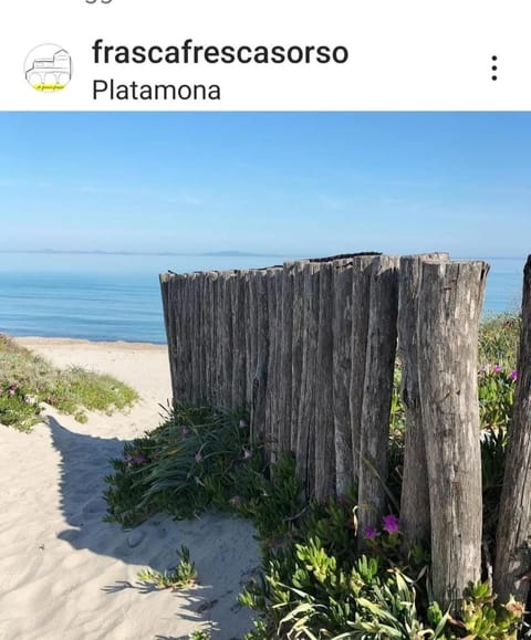 Nearby landmark, Spring, Day, Natural landscape, Beach, Sea view