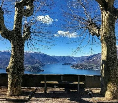 Lake view