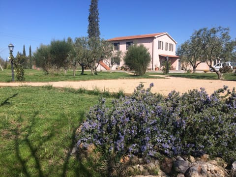 Day, Natural landscape, Garden