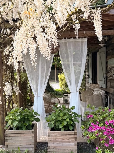 Patio, Garden, Garden view