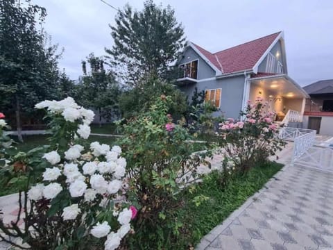 Spring, Day, Garden, Garden view