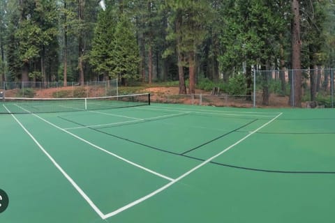 Cedar Oasis - Pet Friendly Cabin w Fireplace, Games and Wifi - 5 min to Big Trees Cabin in Dorrington