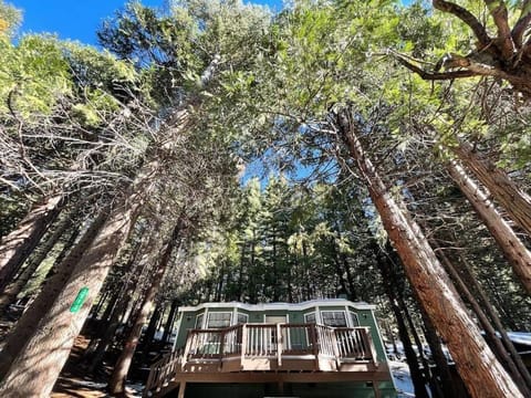 Cedar Oasis - Pet Friendly Cabin w Fireplace, Games and Wifi - 5 min to Big Trees Cabin in Dorrington