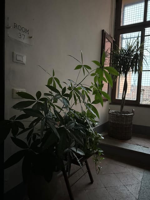 Room Manzoni 37 Apartment in Cremona