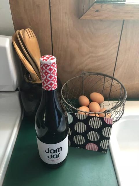 Tiny House House in Ozark Mountains