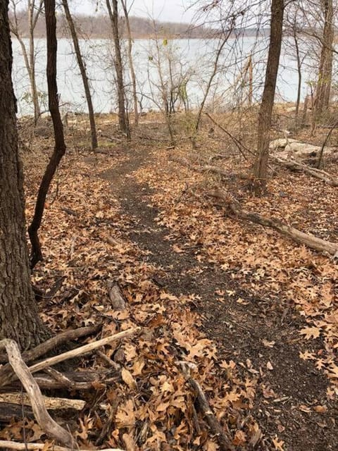 Tiny House House in Ozark Mountains