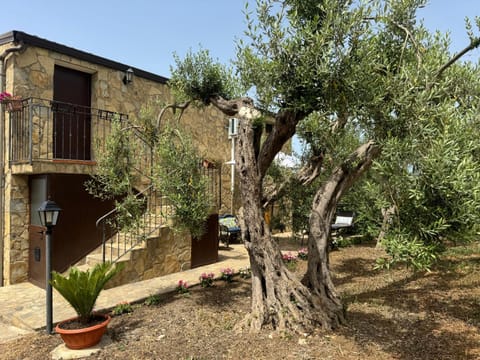 Property building, Day, Garden view